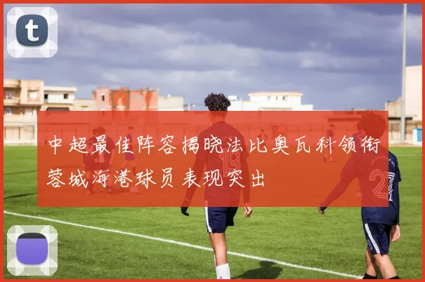 中超最佳阵容揭晓法比奥瓦科领衔蓉城海港球员表现突出