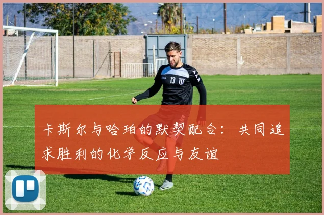 卡斯尔与哈珀的默契配合：共同追求胜利的化学反应与友谊